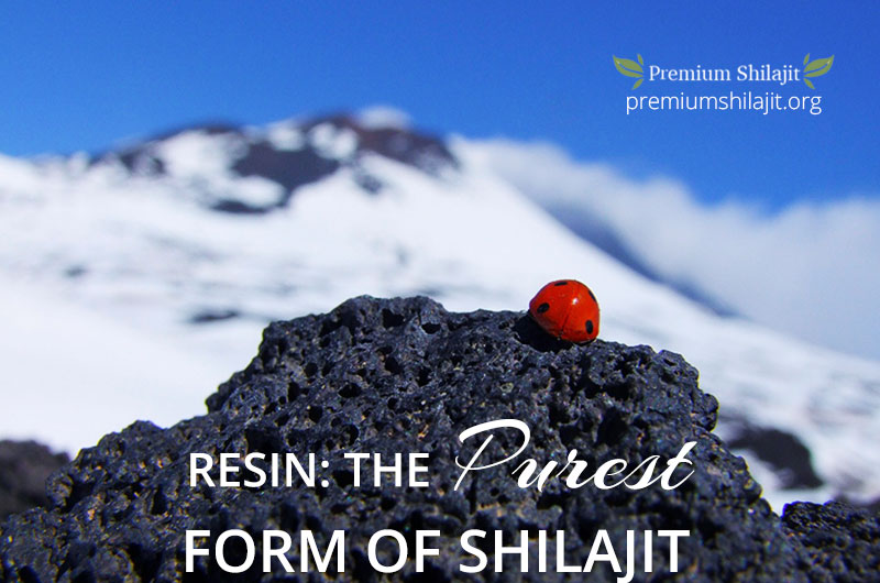 Shilajit resin - the purest form