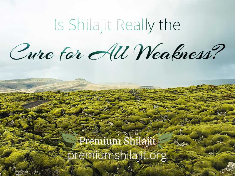 Is Shilajit Really the Cure for All Weakness?