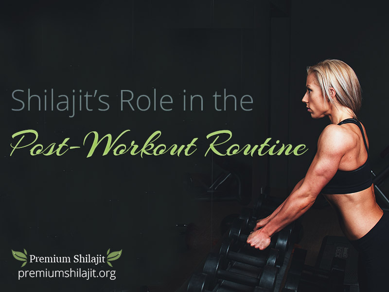 Post-Workout Nutrition and Shilajit