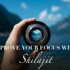Improve Your Focus with Shilajit