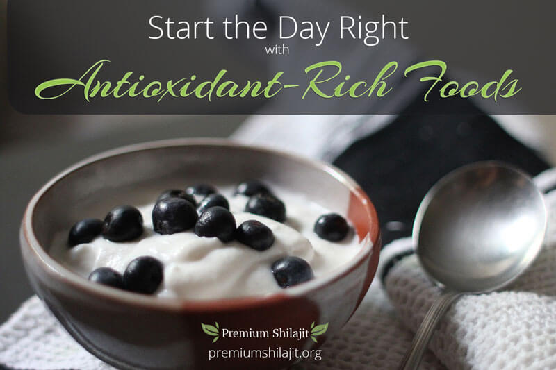 Antioxidant rich breakfast including shilajit