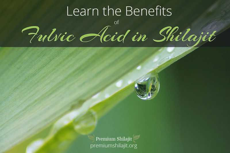 Learn the Benefits of Fulvic Acid in Shilajit
