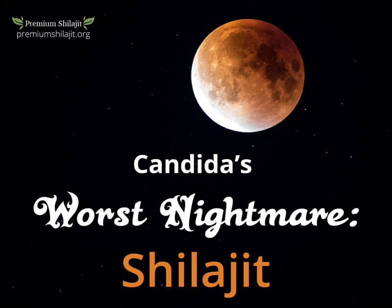 Shilajit is the worst nightmare of candida!
