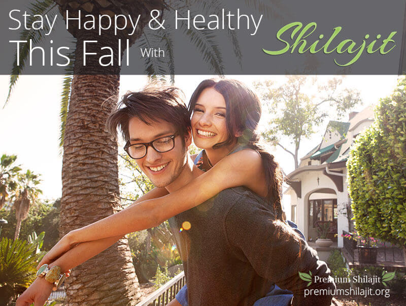 Stay healthy this fall - boost your immune system with shilajit!