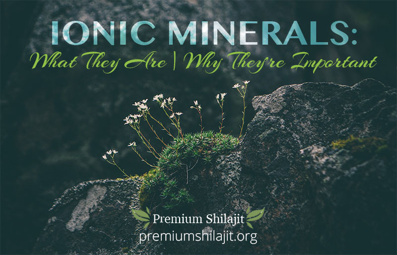 Ionic Minerals in Premium Shilajit