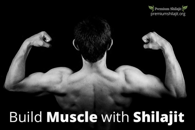 Using Premium Shilajit to Build Muscle