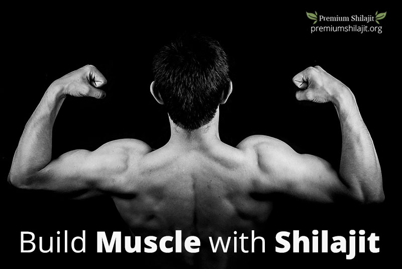 Use Premium Shilajit to Build Muscle