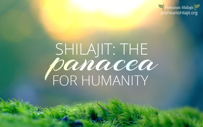 Shilajit: The Panacea for Humanity