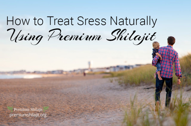 How to Treat Stress Naturally: Take Premium Shilajit Daily