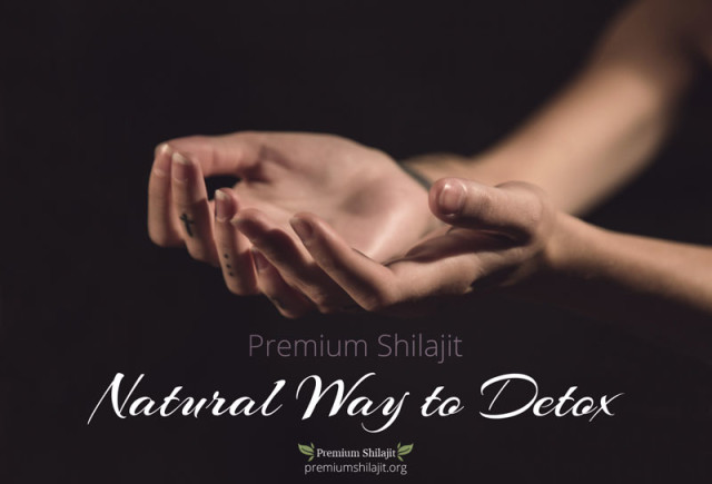 A Natural Way to Detox Using Premium Shilajit