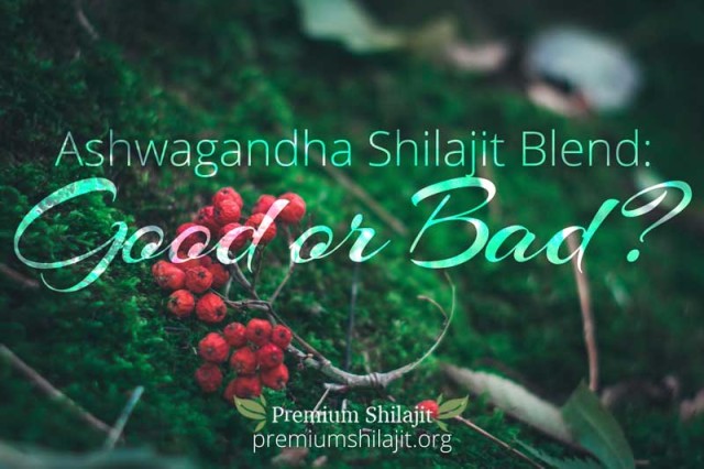 An Ashwagandha Shilajit Blend: Good or Bad?