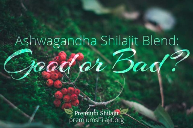 An Ashwagandha Shilajit Blend: Good or Bad? An Ashwagandha Shilajit Blend: Good or Bad?
