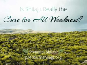 Is Shilajit Really the Cure for All Weaknesses?