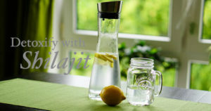 Detoxify with Shilajit Detoxify with Shilajit