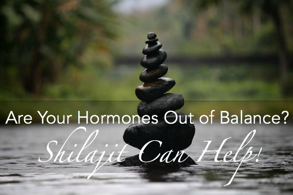 Are Your Hormones Out of Balance? Shilajit Can Help!