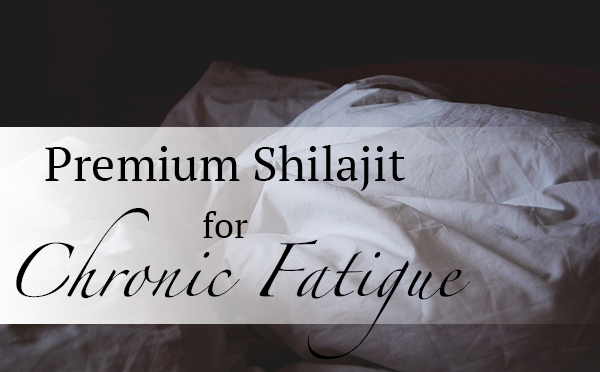 Premium Shilajit for Chronic Fatigue